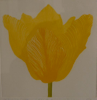 GRAINE CUFFE ~ Light on a Spring Day - aquatint - 40 x 45 cm - €320