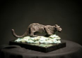 MIM SCALA ~ Snow Leopard - Bronze on black Kilkenny marble - 17 x 26 x 13 cm -edition of 10 #2 - 10 available - from €3800