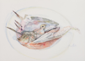 ANN MARTIN ~ Bouillebaise Schull, Co.Cork - watercolour - 38 x 56 cm - €800