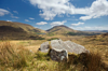 KEN WILLIAMS - Derrynablaha - photograph - various sizes and prices from €60