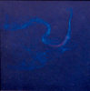GINNY PAVRY - Voyage Notes - series - cyanotype