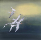 BIRGITTA SAFLUND - Terns  - oil - 30 x 30 cm - €300
