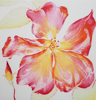 GRAINNE CUFFE - All Summer Long - etching - €400