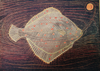 JENNIFER LANE - Plaice - woodblock - €350