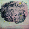 MICHELLE HETHERINGTON - Proteus - etching - €350