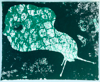 NIAMH McGUINNE - She Slid Slowly - screenprint - €370