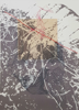 REBEKAH LORD GARDINER - Passage to Newburyport - chine colle -€370
