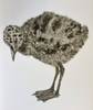 RENATE DeBRUN - Gull Chick 2 - montype - unframed €370
