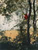 ROBERT RUSSELL - Kite in the Rough - etching - €375
